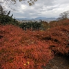 東山から西山を望む