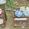 節約のためにこれ以上太れない（もう太ってるけど）