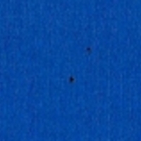 幻の「けなげ組」が今、明らかになりつつある【けなげ組 番外編2