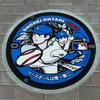 大谷翔平選手のイラストデザインマンホールと田んぼアートを見に行ってきました🥎