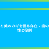 健康と美のカギを握る存在：歯の重要性と役割