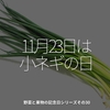 1847食目「11月23日は小ネギ記念日」野菜と果物の記念日シリーズその30