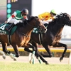 競馬初心者必見☆馬券予想🔥〜東京新聞杯〜連勝の勢いそのまま重賞制覇を果たす⁉️〜