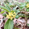 不調の理由は「年のせい」