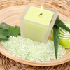 Aloe Hand & Face Soap Encourage