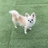 はじめまして!!!