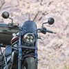 レブル1100で桜探訪いろいろ