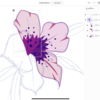 IPad Illustratorお試し花のイラスト