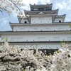 静岡発　観光モデルコース(1泊2日　袋田の滝～日本一の宿母畑温泉八幡屋～三春の滝桜2018～鶴ヶ城～大内宿)