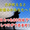 犬の吠えをやめさせるしつけ方法！