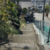 いよいよ術後７週目に突入