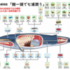 時代に合わせ「鯨類の持続的な利用の確保に関する法律」へ切り替え に。「商業捕鯨の実施等のための鯨類科学調査の実施に関する法律」を改める。／くじら給食がもっと普及しますよう。