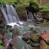 瓜割の滝　と　夏の山野草