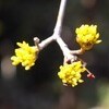 ４月第一日曜は、用水浚い…。