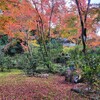 【京都】【御朱印】『来迎院』に行ってきました。 京都紅葉 京都観光 そうだ京都行こう