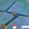 ポケモンGOでレベル２０になったので、コツやアドバイスをすべて書く