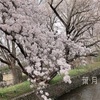 食い意地の別名