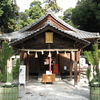 鴨都波神社のススキ提灯献灯行事