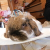 春休みだから♪