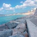 若手社会人の日々有給