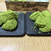 ミドリ系の和菓子で攻めてみた
