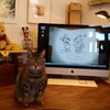 iMac 2010