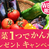 モランボン｜夏野菜１つでかんたん！プレゼントキャンペーン