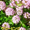 みんな揃って日向ぼっこ　😊😊😊