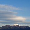 ファーファと富士山