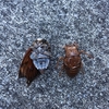 腸だけで感じてる