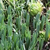 🌧️雨の金曜日と、引きこもり息子の小さな成長🌱