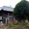 勝俣部長の「ため息」５０３３回････脈(絡)が無し
