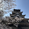 広島城桜祭りです。