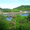 博物館明治村へ