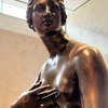Pietro Cipriani 「Medici Venus」