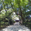 神社にて