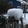 また雪積もった。