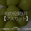 2510食目「旬の役果 9月【マスカット】」今が旬★　美味しくて＋栄養価が高くて＋安くて＝元気にしてくれる季節の果物を紹介