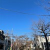 きなこ、主張する