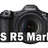 キヤノン「EOS R5 MarkⅡ」のAFにバグが潜んでいる？〜レンズが反応しないトラブル発生中！　EOS R1は大丈夫か？〜