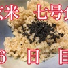 整う？玄米断食 の巻(6日目)