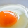 価格の優等性　　卵を考える　植物繊維とビタミンC以外はすべての栄養素を含む