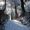 冬の金剛山登山