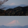 土岳からの富士山