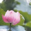 6月24日　水　