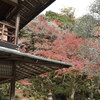 紅葉・椛・もみじ