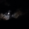月に叢雲、草枕　オフィーリアったら土座衛門