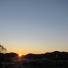 今年はどんな年に