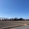 山王1号墳  川島町正直