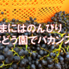 【のんびり】あー、たまにはのんびりバカンスでも行きたいなぁ。大使がプラプラ向かったのはバーツク・ヨーロッパ。そこで見つけた伝説の紫の雫とは？！【つくばワイナリー】